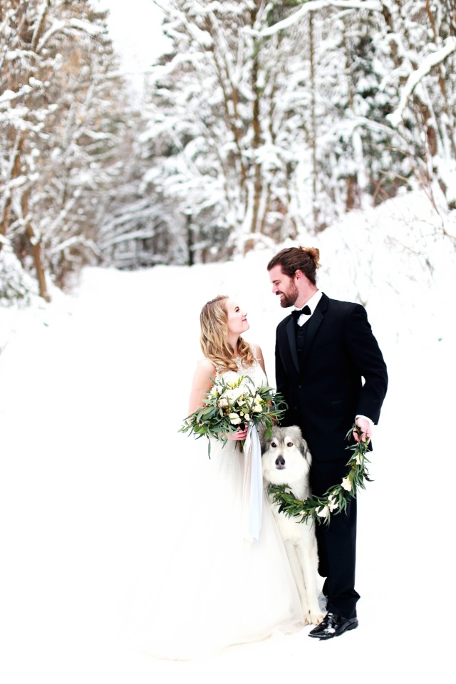 bride groom and dog in the snow