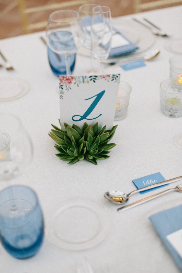 succulent table number