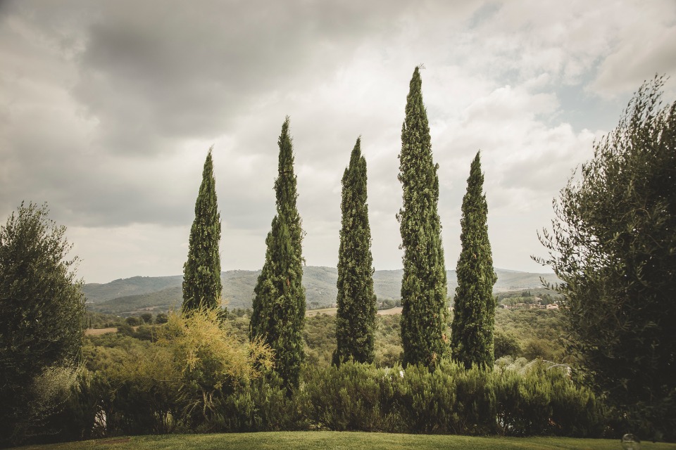 want to say "I do" in Tuscany?