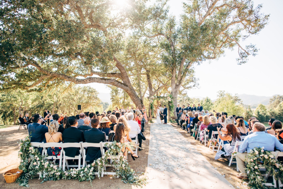Outdoor wedding ceremony under a large tree with guests seated