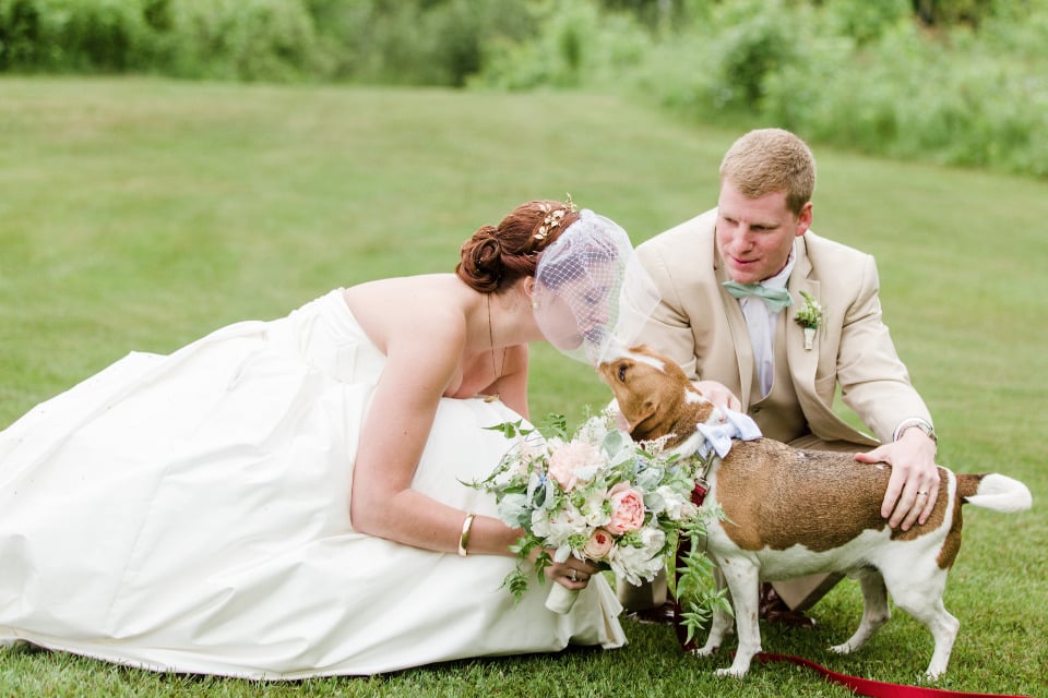 kiss the pup cute wedding photo
