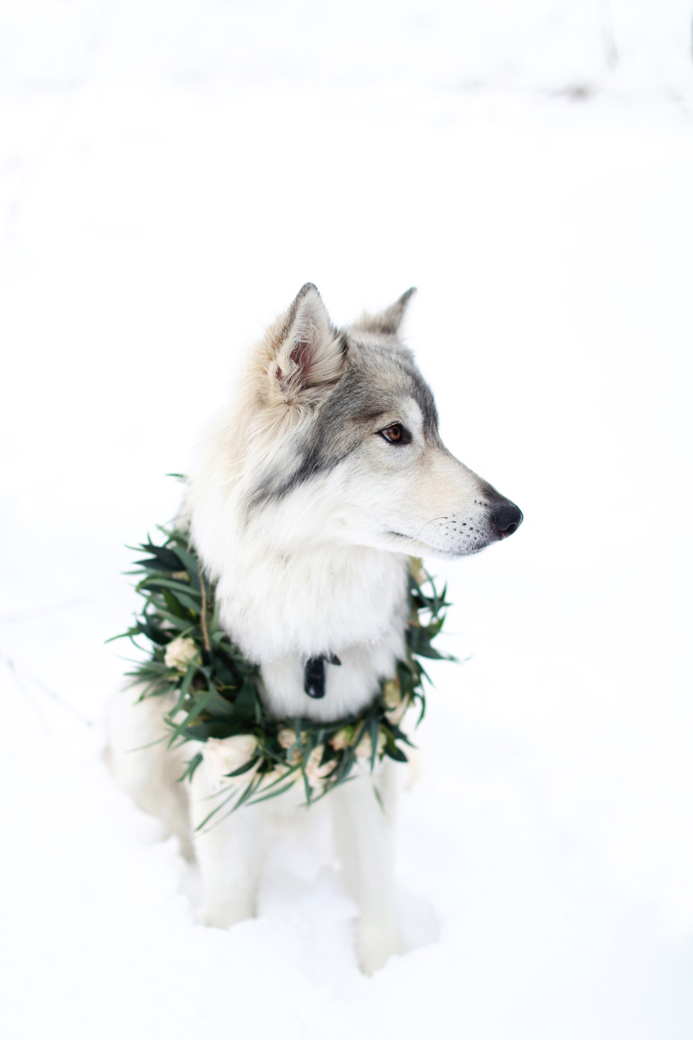 wedding-submission-from-bitsy-bridal