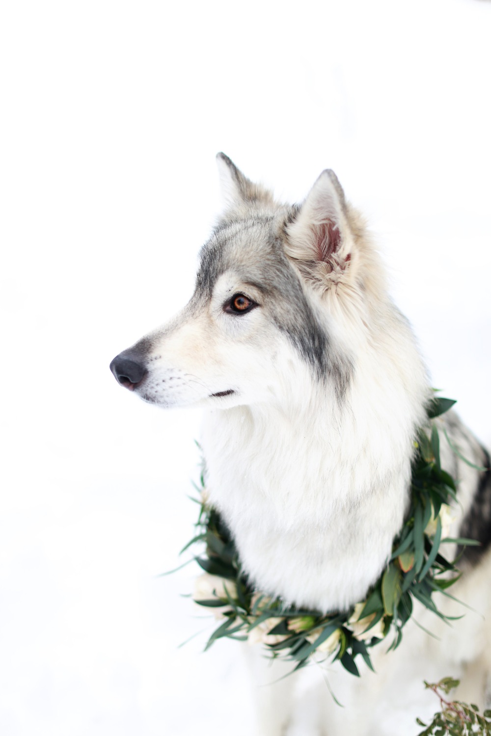 wedding-submission-from-bitsy-bridal