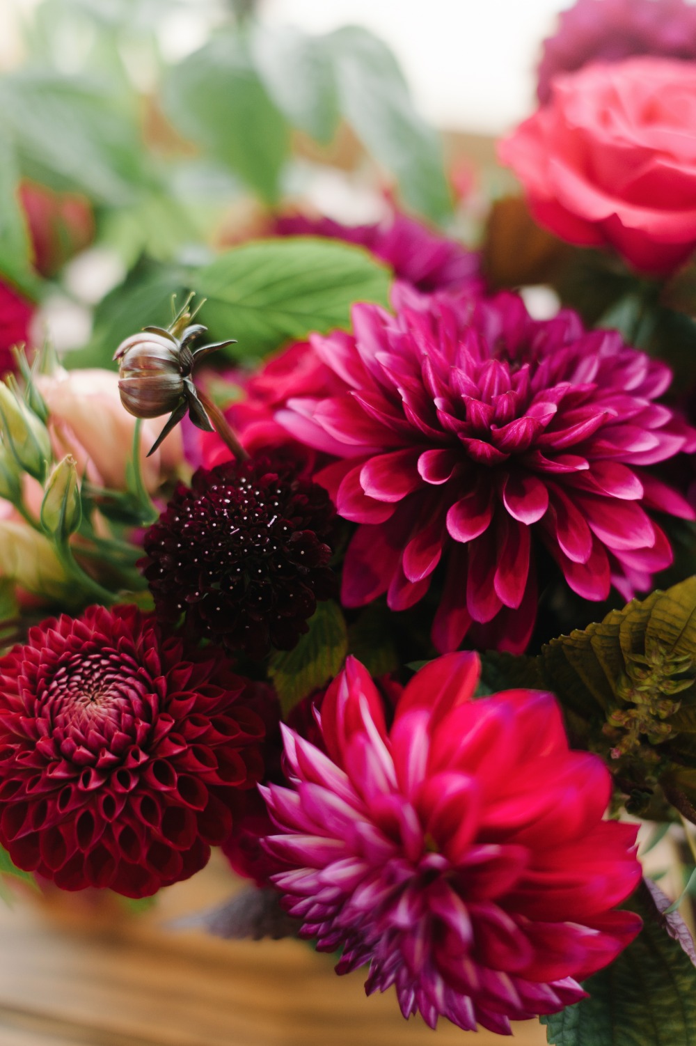 wedding-submission-from-blue-rose