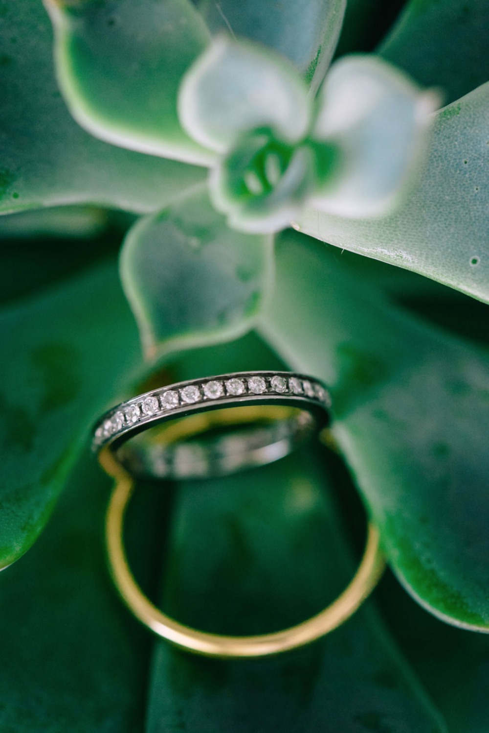wedding-submission-from-elias-kordelakos