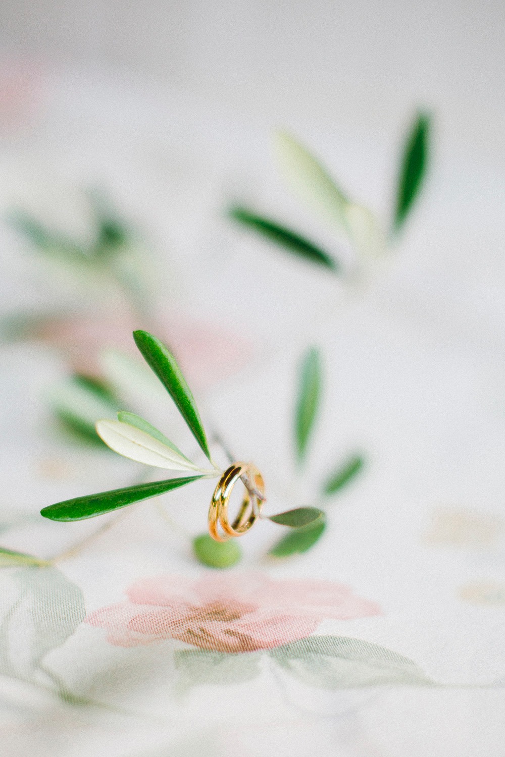 wedding-submission-from-erica-brenci