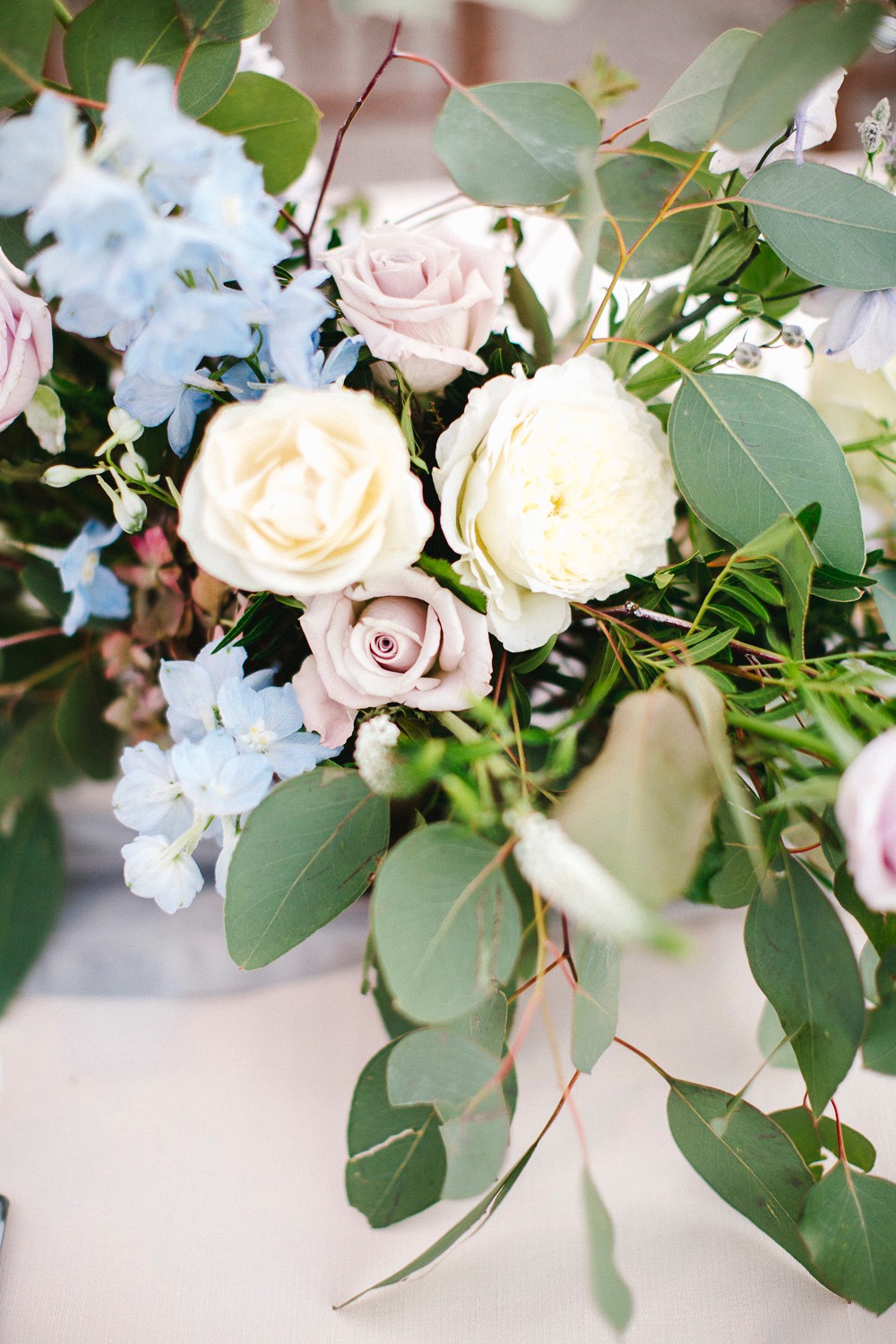 wedding-submission-from-erica-brenci