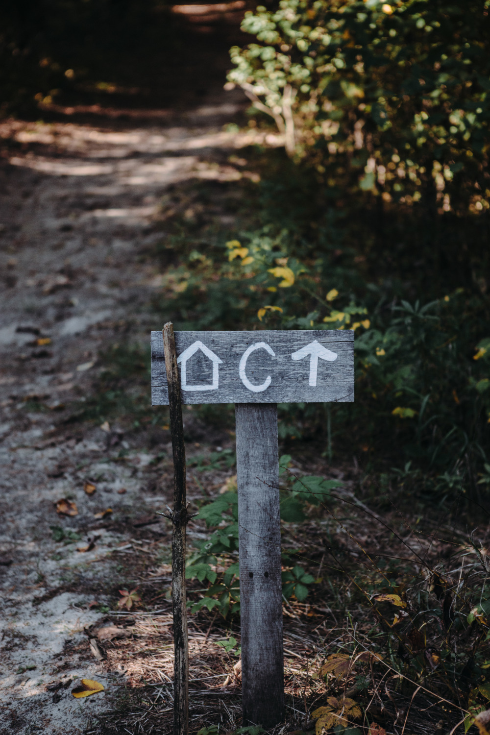 wedding-submission-from-kendra-dolson