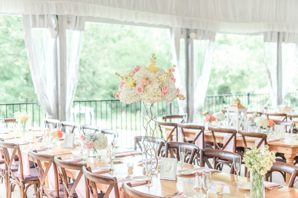 wedding-submission-from-lauren-schmitz
