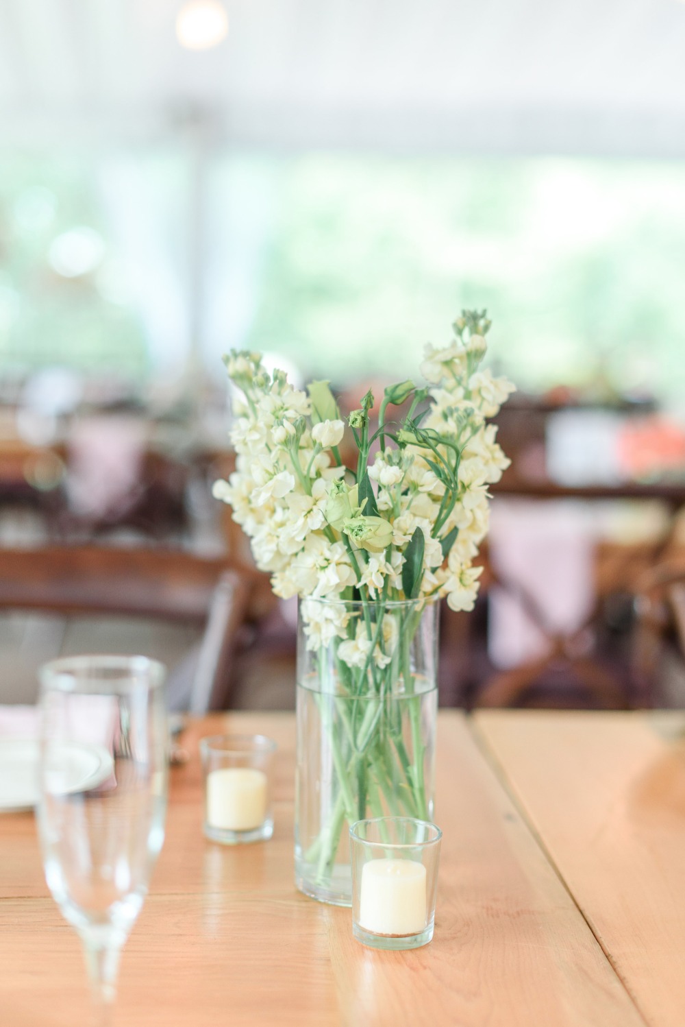 wedding-submission-from-lauren-schmitz