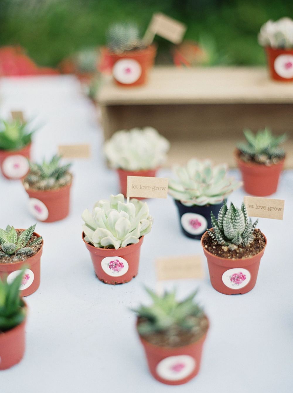 wedding-submission-from-query-events