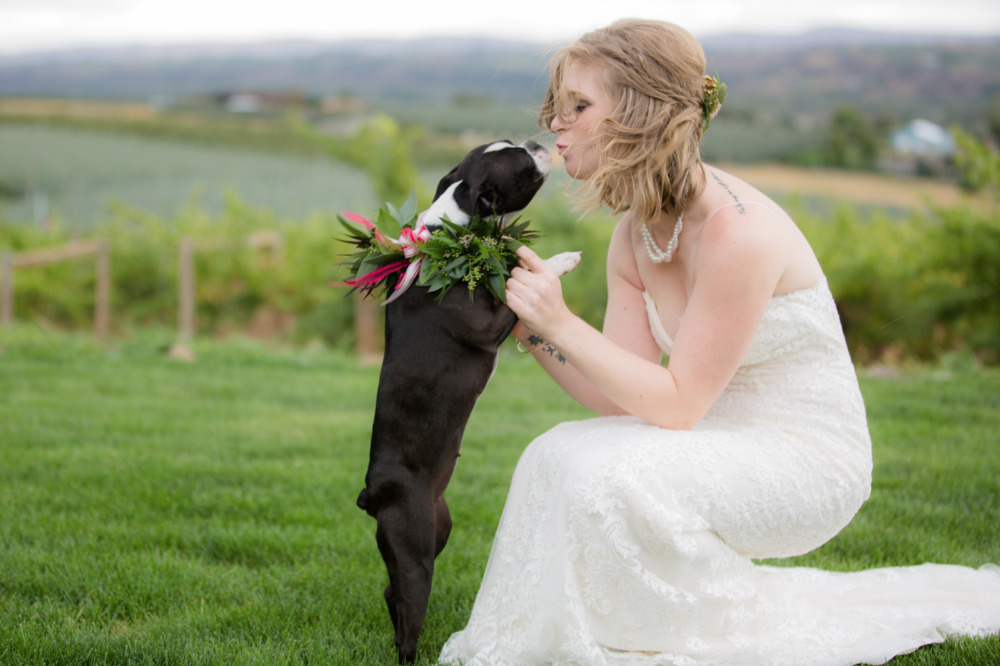 wedding-submission-from-wedding-wise