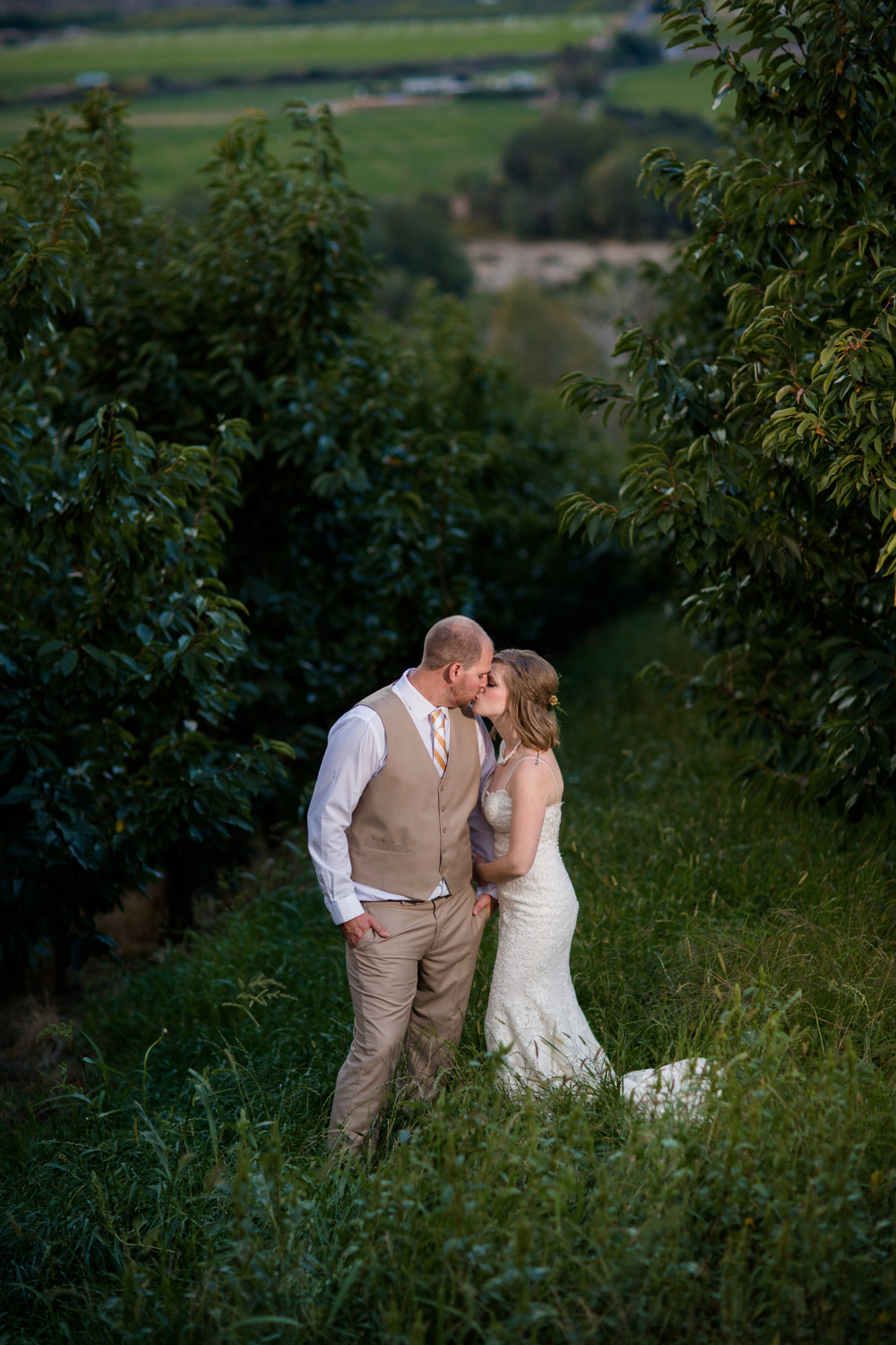 wedding-submission-from-wedding-wise