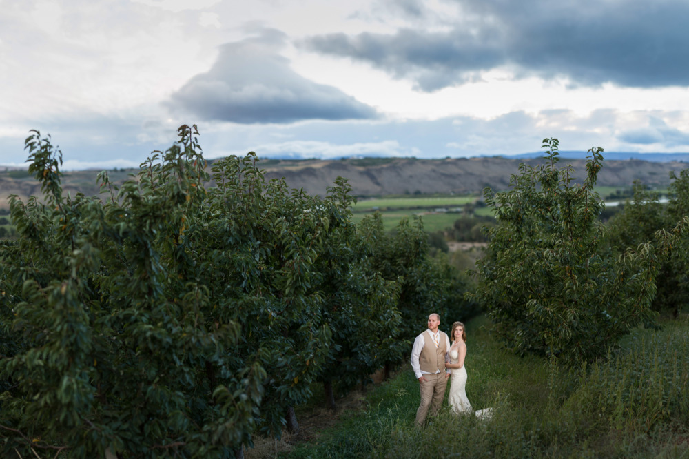 wedding-submission-from-wedding-wise