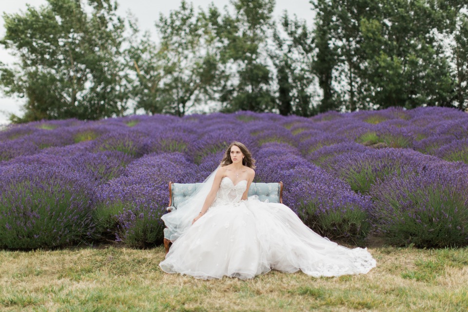 lavender farm wedding ideas