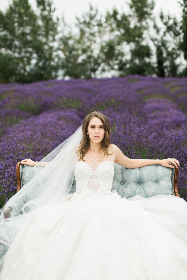 lounging at the lavender farm