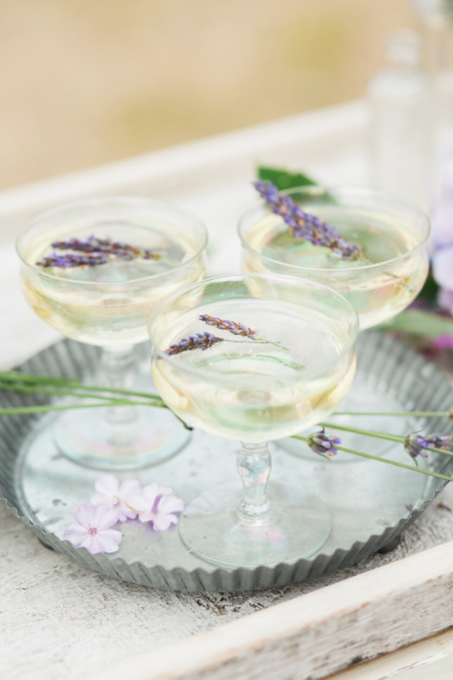 lavender cocktails