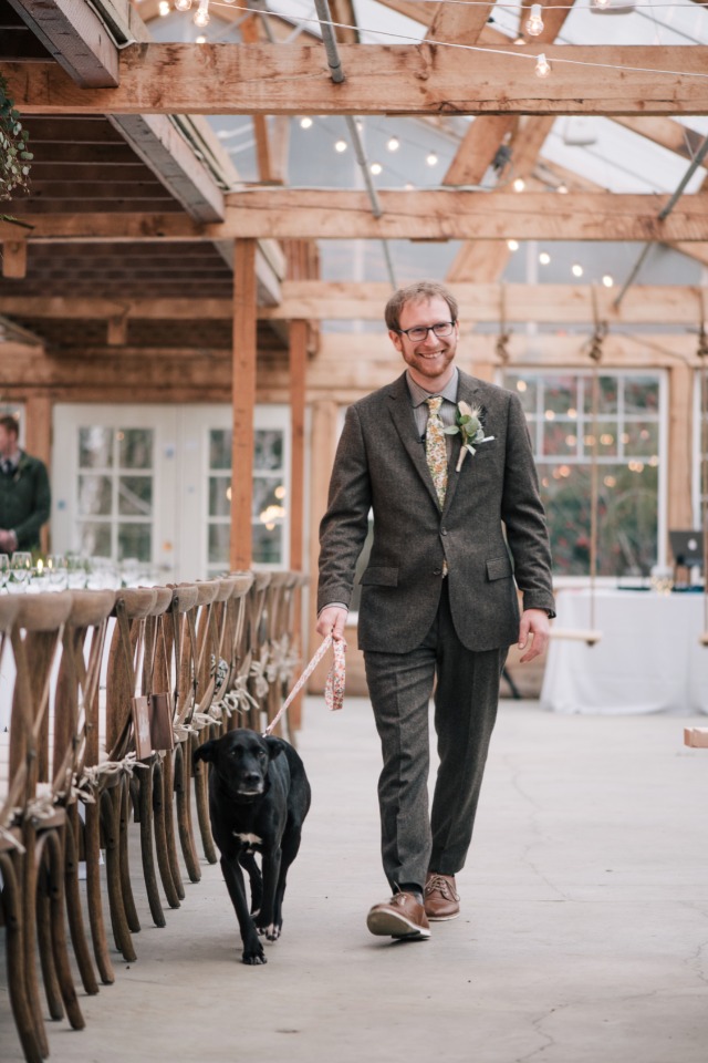 groom and wedding dog