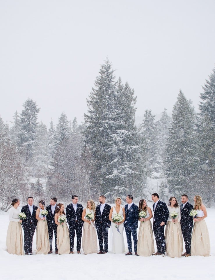 Wedding party in the snow