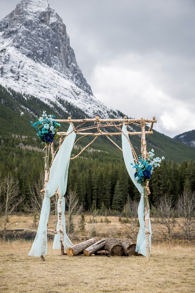 Chic birchwood arbor with blue ombre flowers