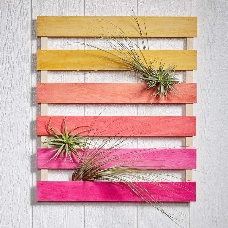 Ombre airplant mini pallet DIY from Fifty Flowers