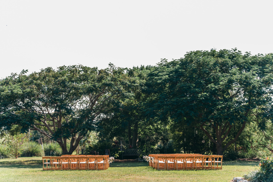 beautiful outdoor wedding ceremony with tree backdrop