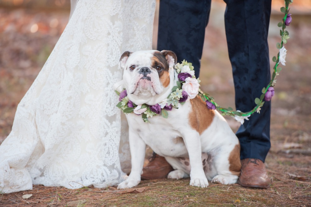 wedding-submission-from-brea-mcdonald