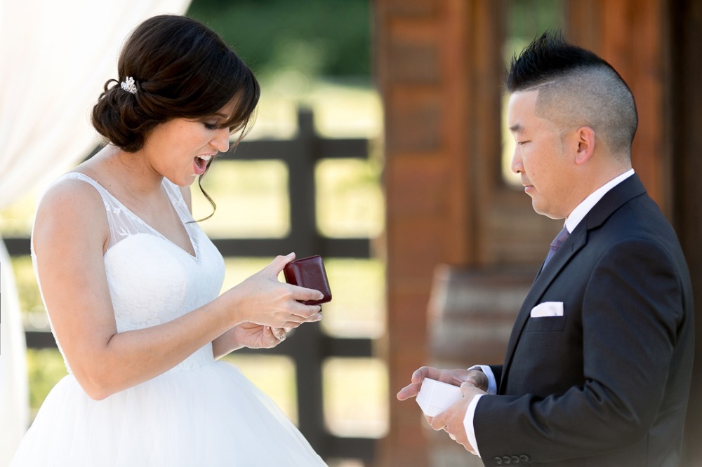 wedding-submission-from-doug-amp