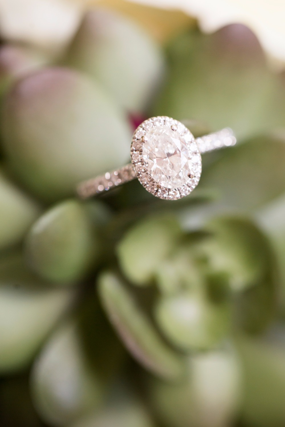 wedding-submission-from-j-amp-d