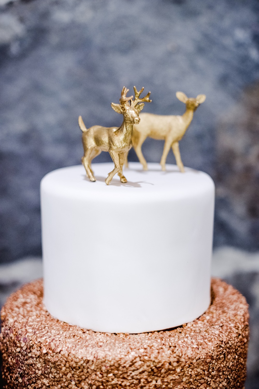 wedding-submission-from-jordan-maxey