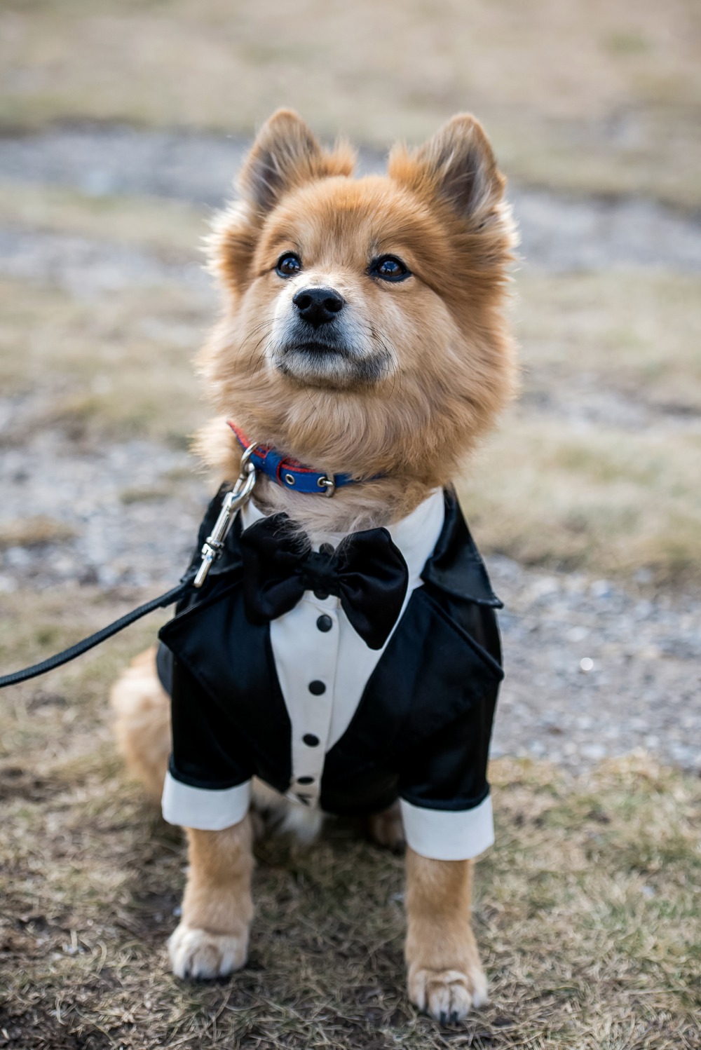 wedding-submission-from-kim-payant