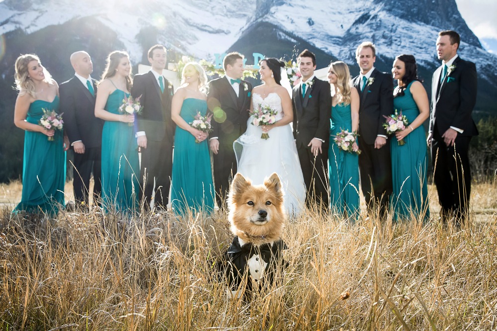 wedding-submission-from-kim-payant