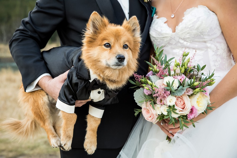 wedding-submission-from-kim-payant