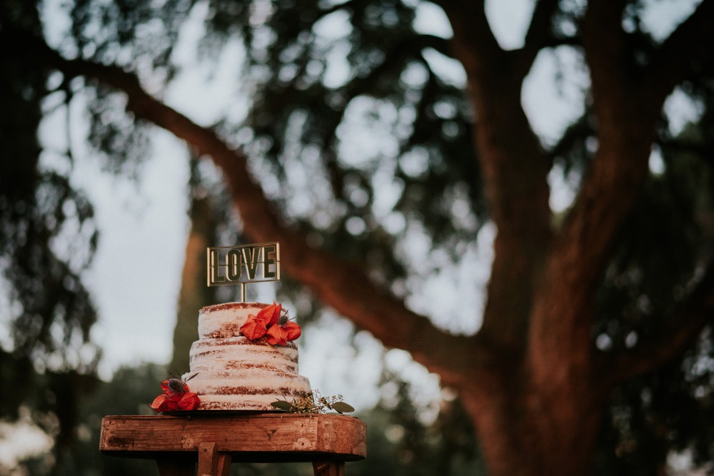 wedding-submission-from-parade-wedding