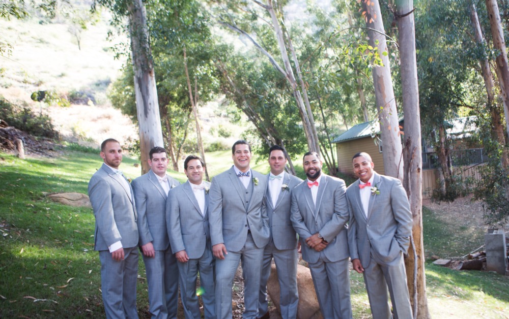 wedding-submission-from-when-pigs-fly