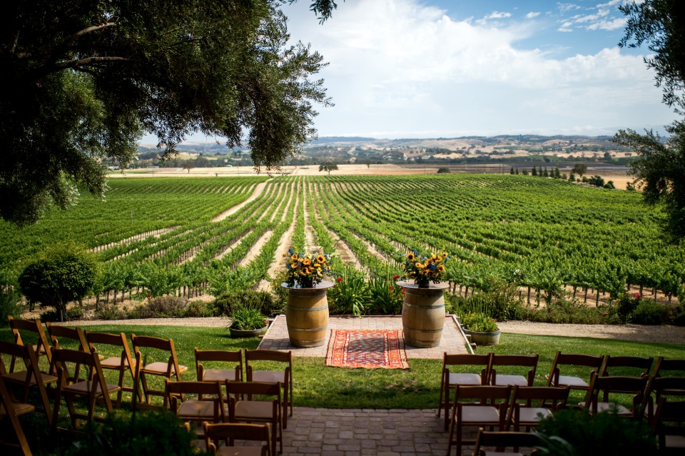 a ceremony with a vineyard view