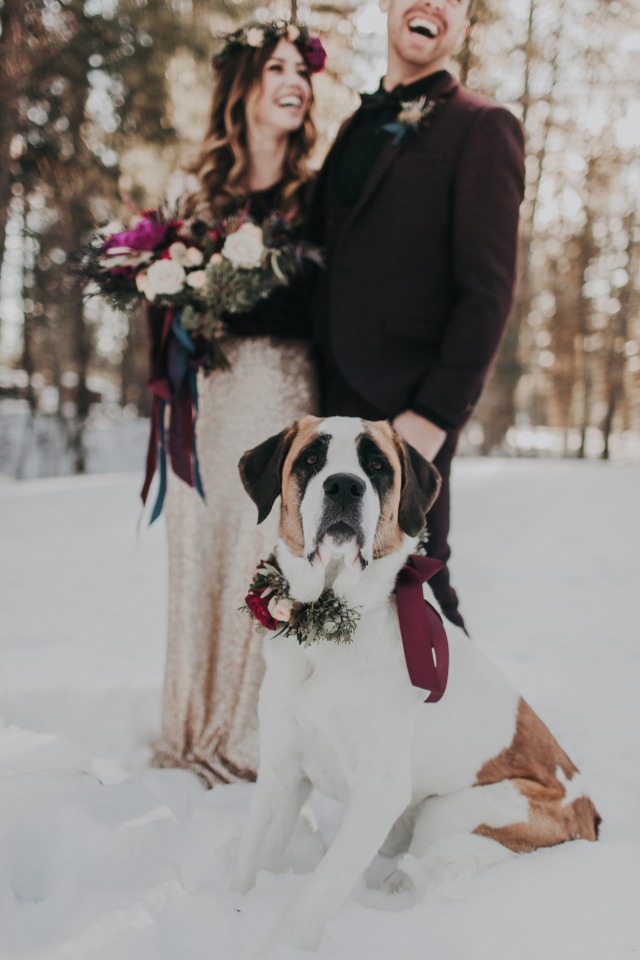 wedding dog