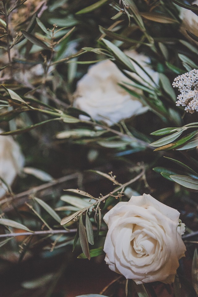 roses and olive branches