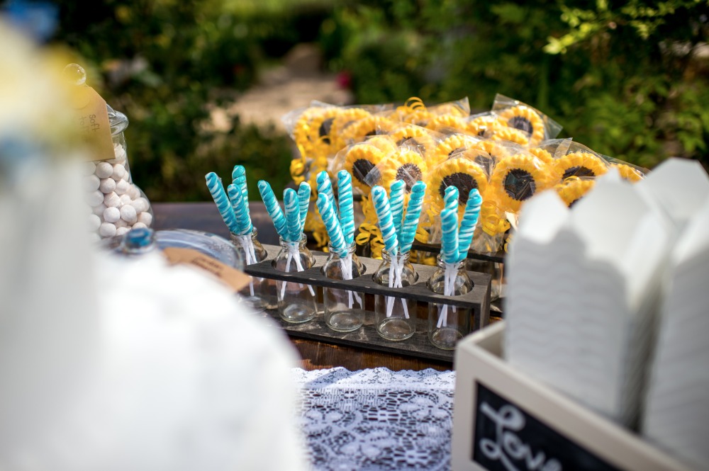 wedding-submission-from-a-perfect-day