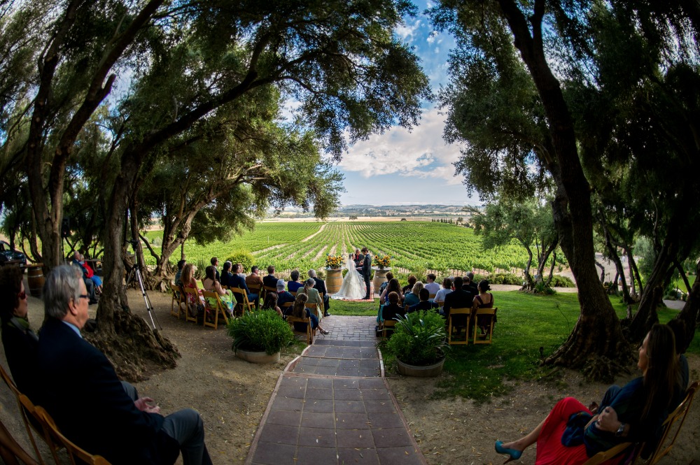 wedding-submission-from-a-perfect-day