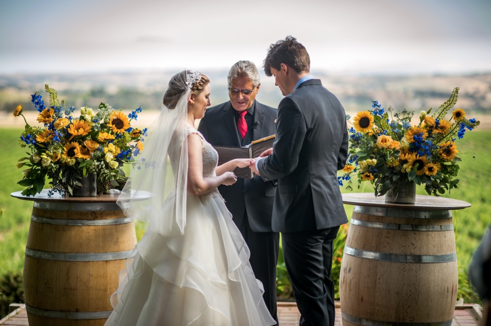 wedding-submission-from-a-perfect-day