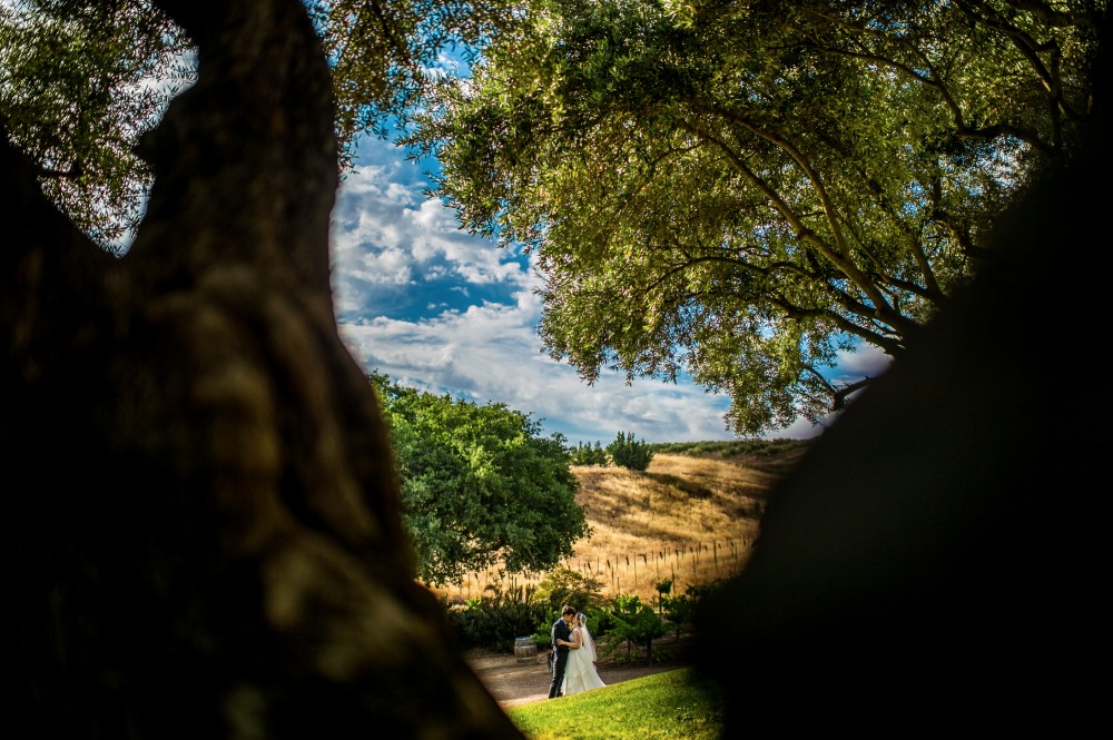 wedding-submission-from-a-perfect-day