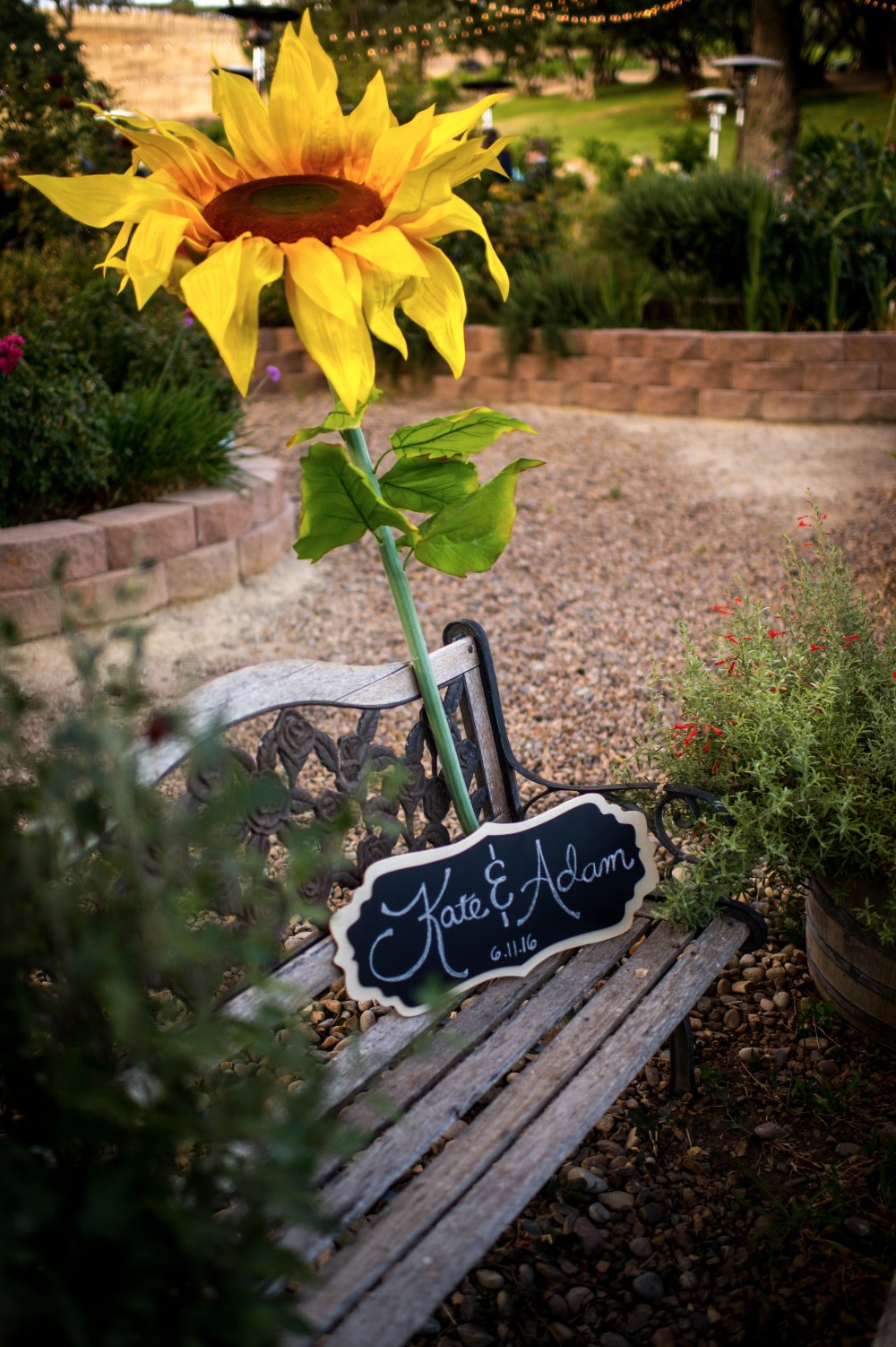 wedding-submission-from-a-perfect-day