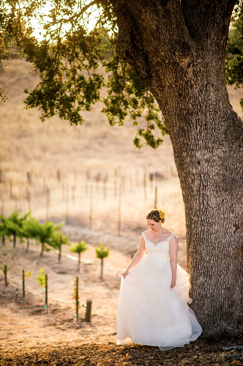 wedding-submission-from-a-perfect-day
