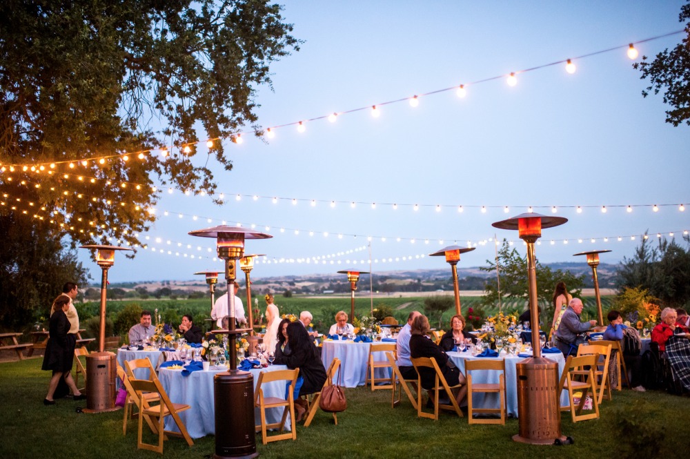 wedding-submission-from-a-perfect-day