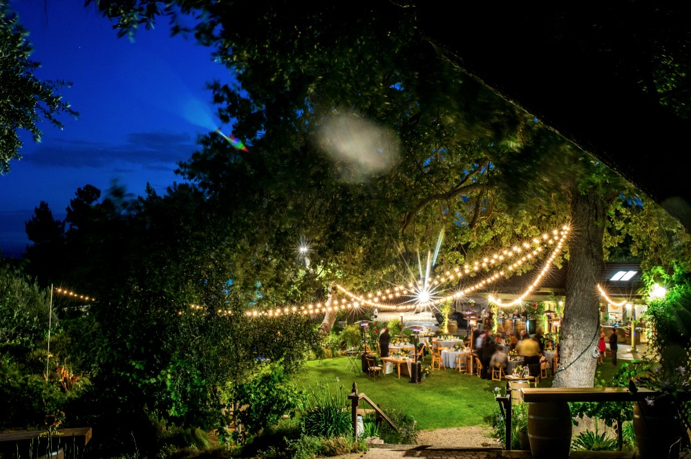 wedding-submission-from-a-perfect-day