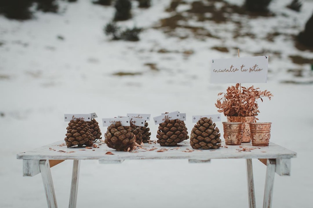 wedding-submission-from-bodas-redondas