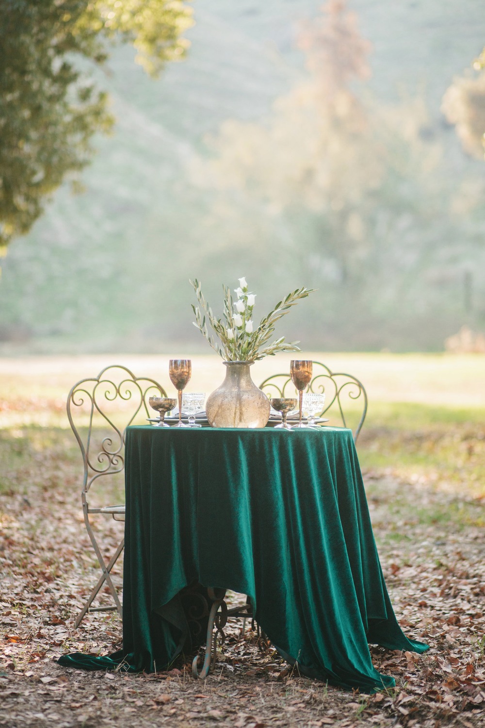 wedding-submission-from-brady-rushing