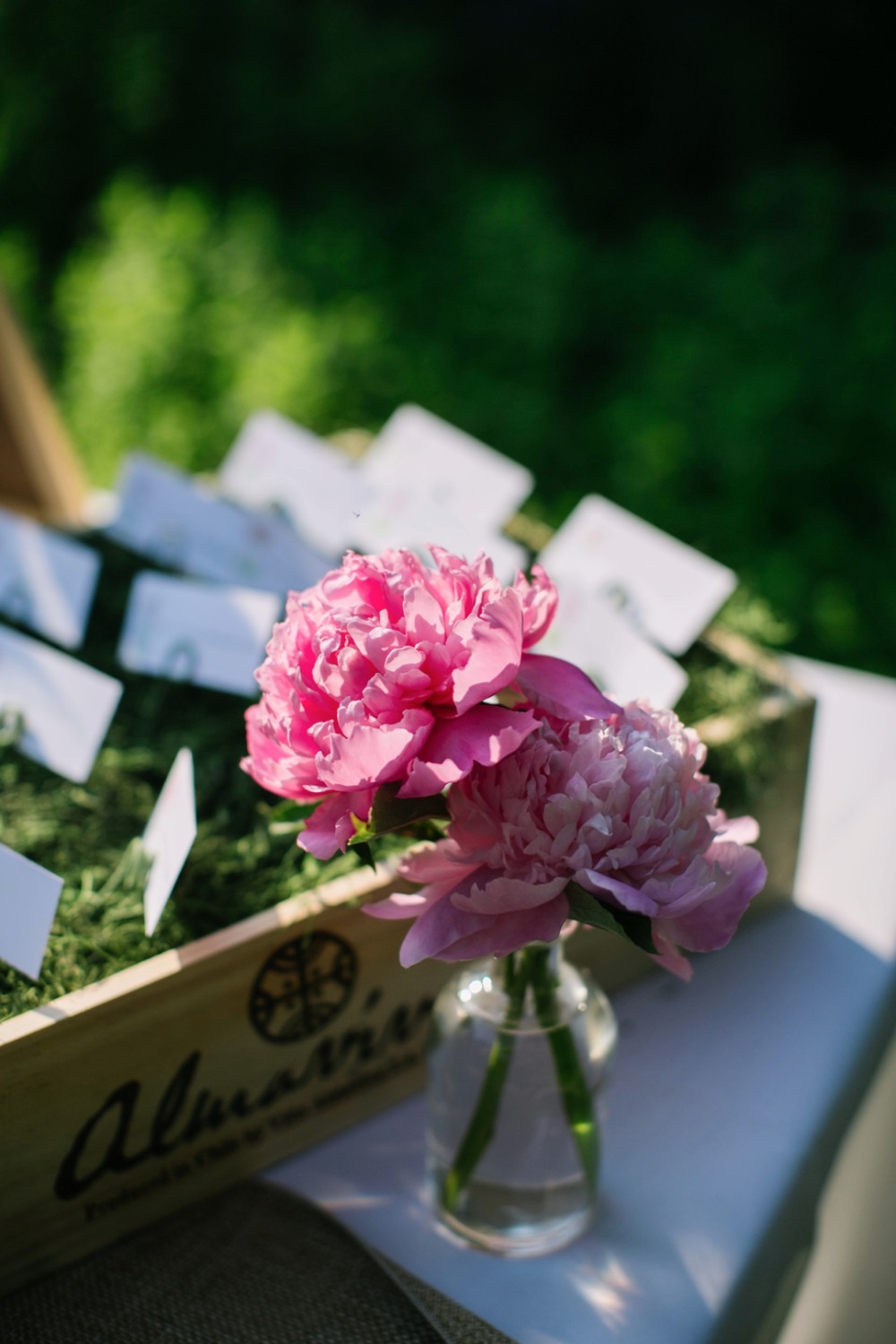 wedding-submission-from-brittney-raine
