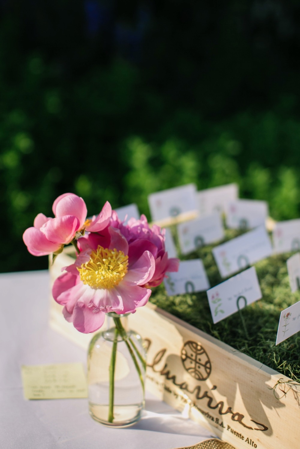wedding-submission-from-brittney-raine
